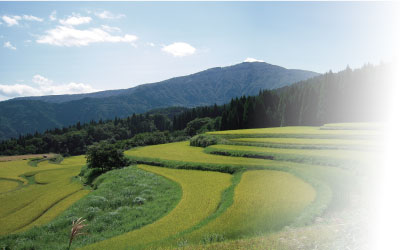 観光タクシーイメージ